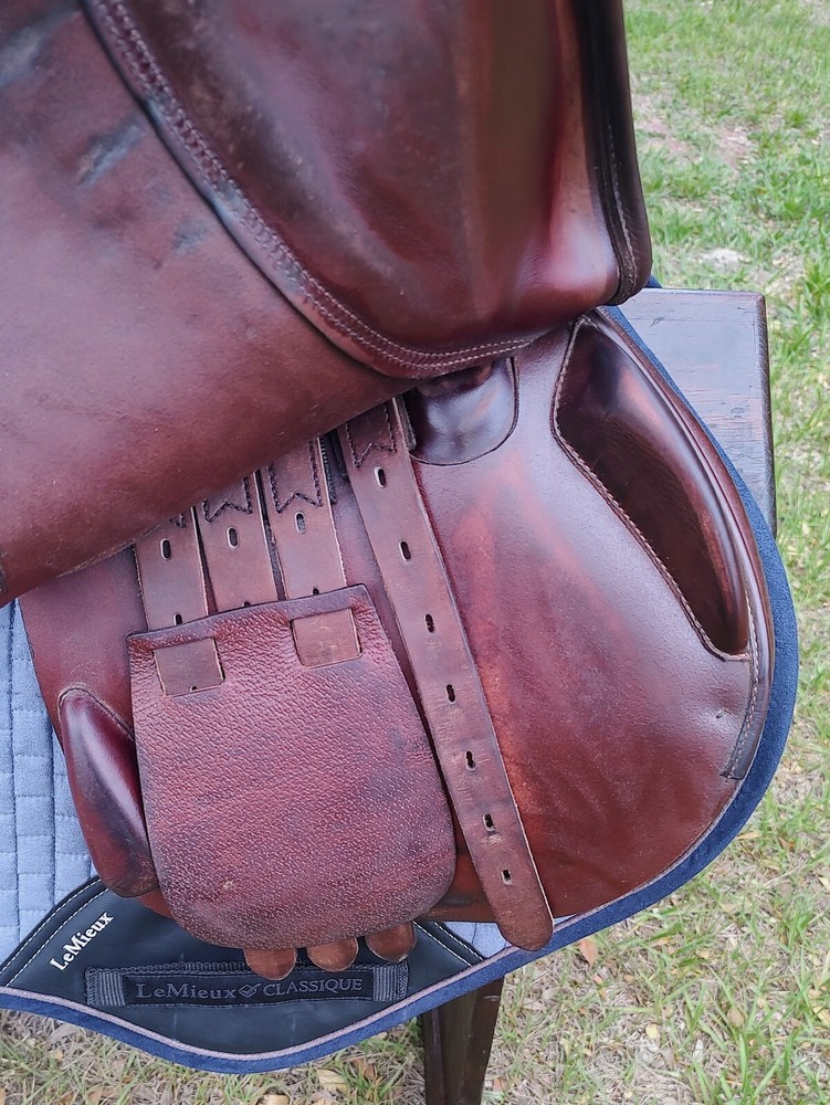 Amerigo Jump/Event - 17.5" / UC324JA