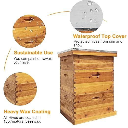Natural Bees Wax Coated Bee Hive 1 Medium &2 Deep Boxes for Beginners No Frames