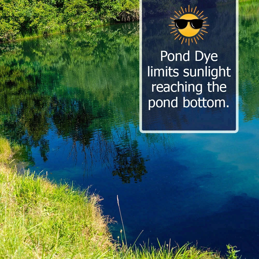 Midnight Blue Pond Dye Packets- 6 water soluble packets
