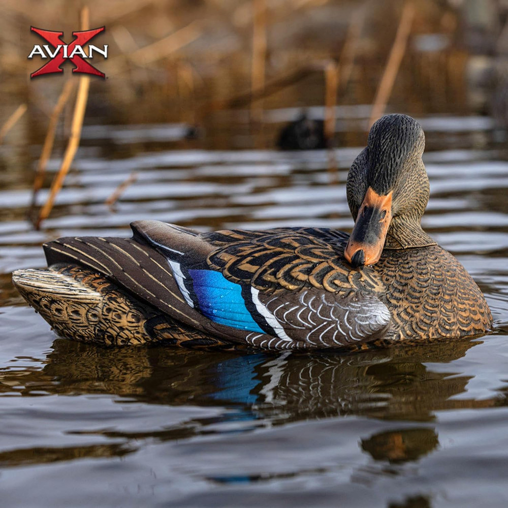 Avian X Power Shaker/Black Duck Surface Feeder