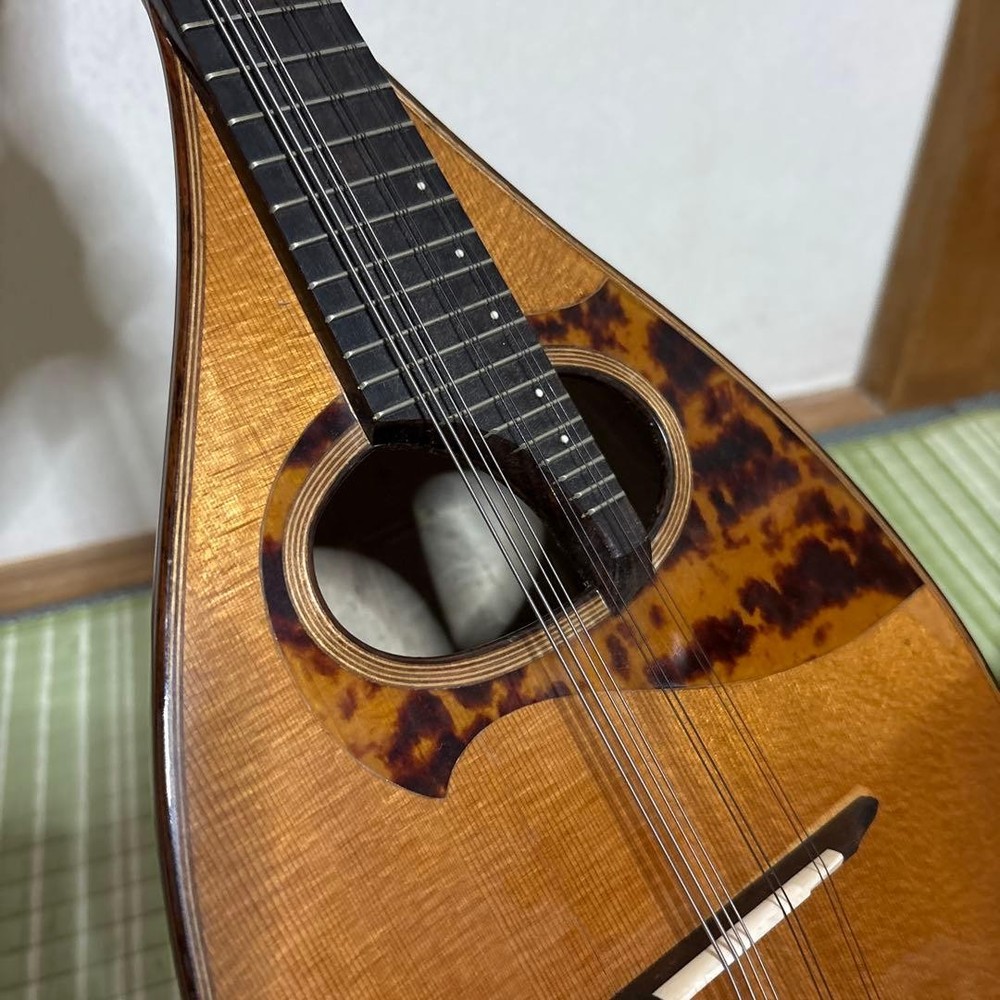 Raffaele Terada Musical Instruments High End Mandolin RM-3 String Used From JPN