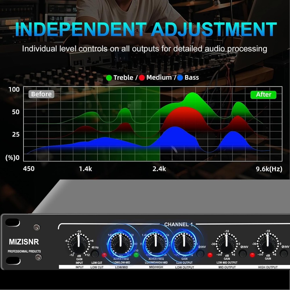 Professional Stereo Crossover XLR Input/Output=