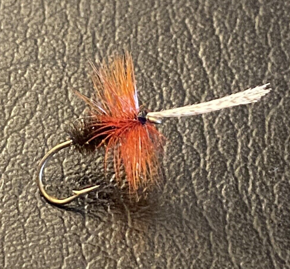 6 x John Storey Dry Fly #12.