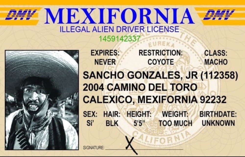Mexifornia Illegal Alien Drivers License 3.4” X  2.2” Laminated ID Card.