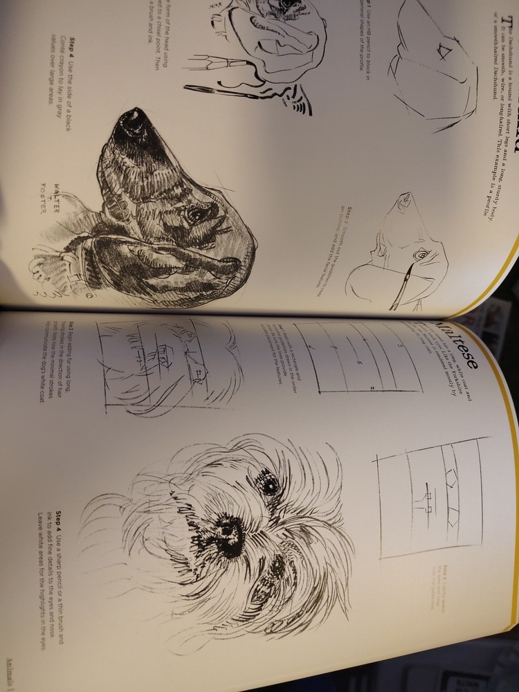 Big School Of Drawing