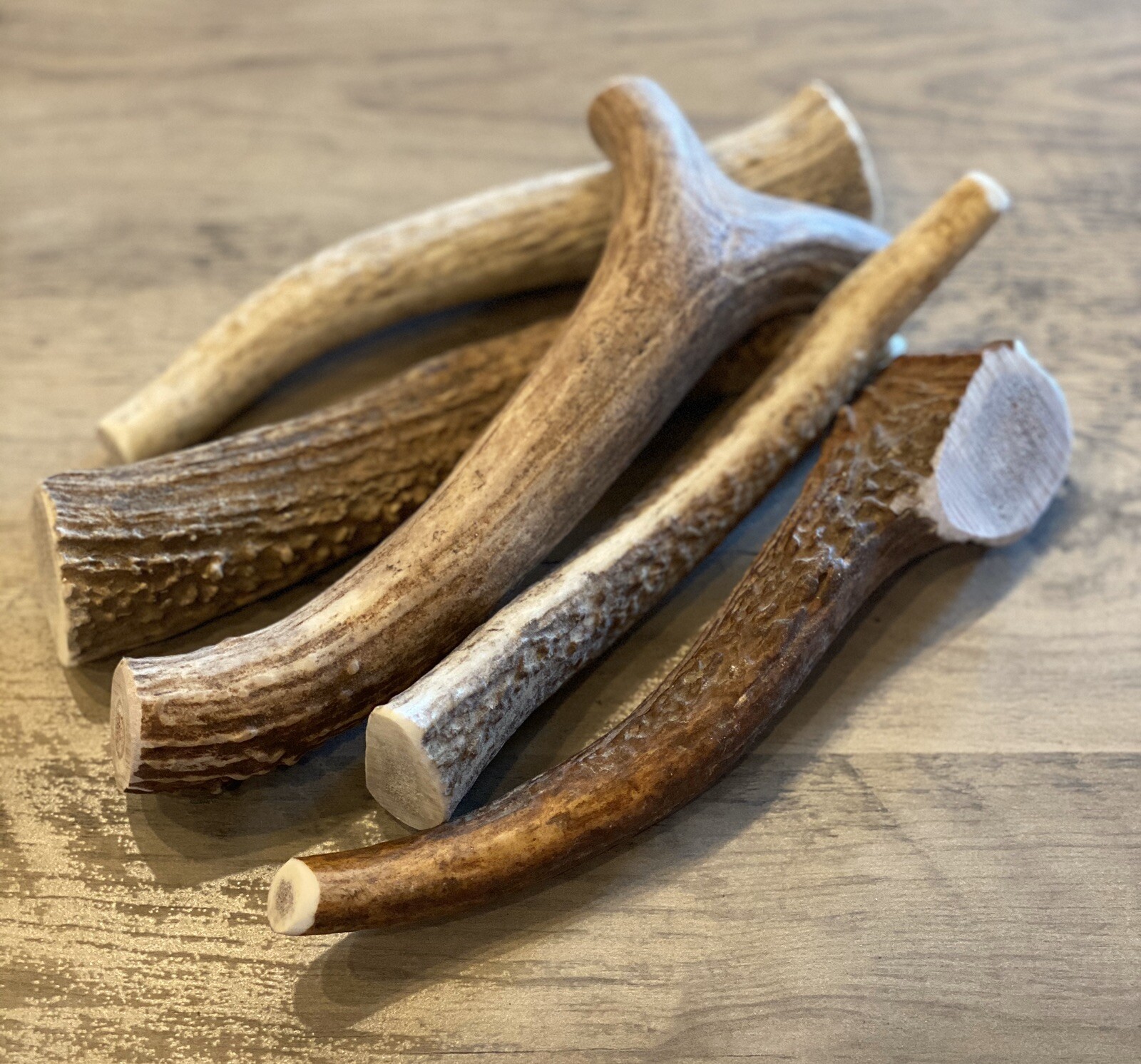 LARGE Elk/Deer Antler Premium Dog Chew (1pc) **OREGON ANTLER WORKS**