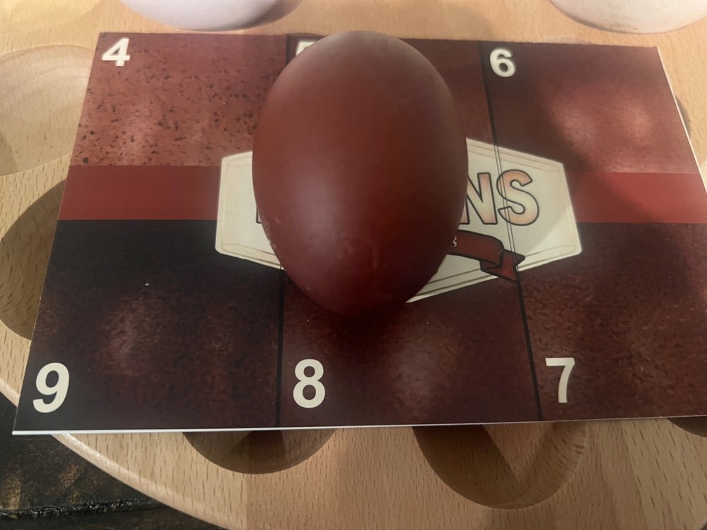 🐣🤍6 Black Copper Marans(BCM)hatching eggs NOT hatchery sourced🤍🐣