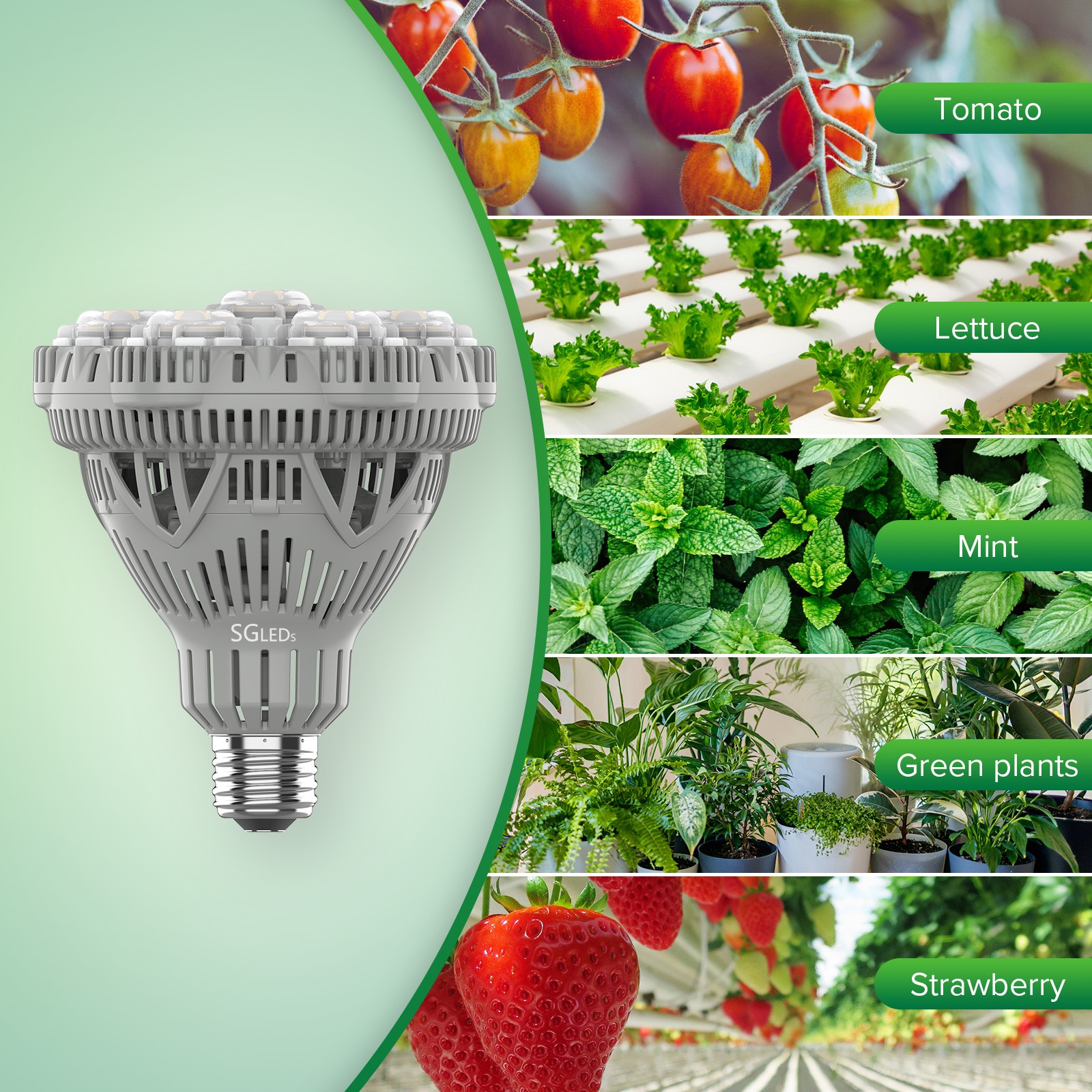 400W Equiv. LED Grow Light Bulb Sunlike Full Spectrum 36W Indoor Veg Bloom E26