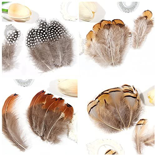 SendyFeather 200pcs 10 Style Natural Feathers Assorted Mixed Feathers for
