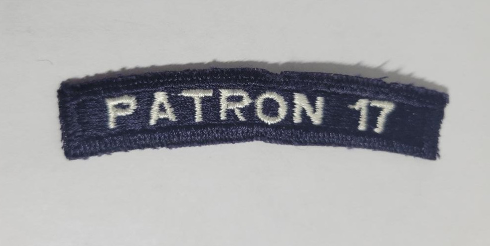 US Navy PATRON 17 Patrol Squadron 17 "White Lightnings" Segment Patch
