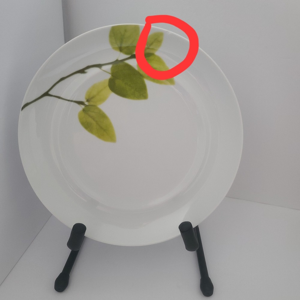 Mikasa ~ Daylight ~ 11" Dinner Plate READ