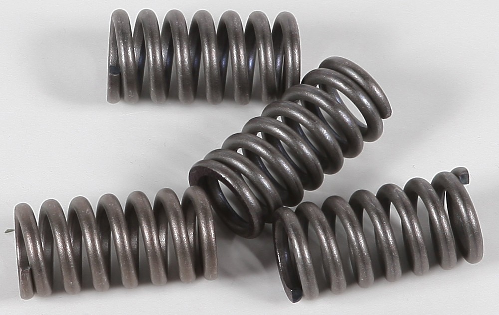 EBC Clutch Spring Set - Clutch Springs - CSK12