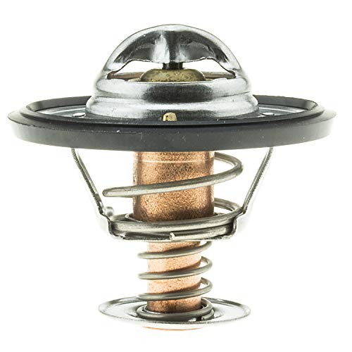 265-195 Thermostat