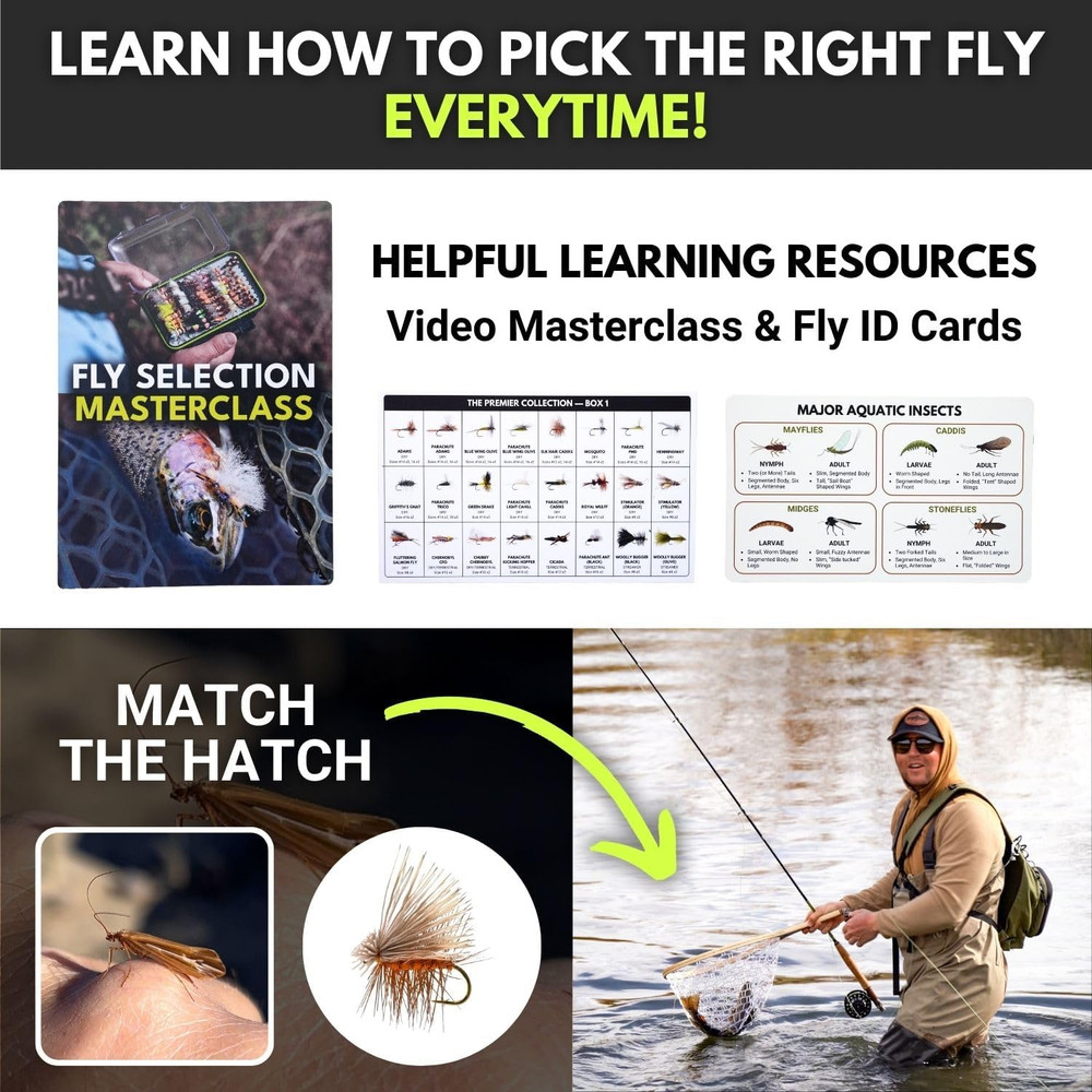 Fly Fishing Flies Assortment Set, 48 Patterns, Sizes 8–20, with Reference Cards