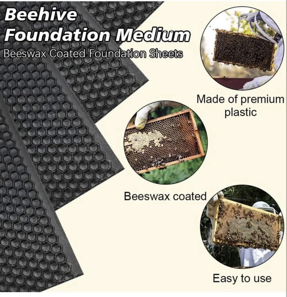BeeCastle 10pcs Black Beehive Frame Beeswax Coated Foundation Sheet,Waxed