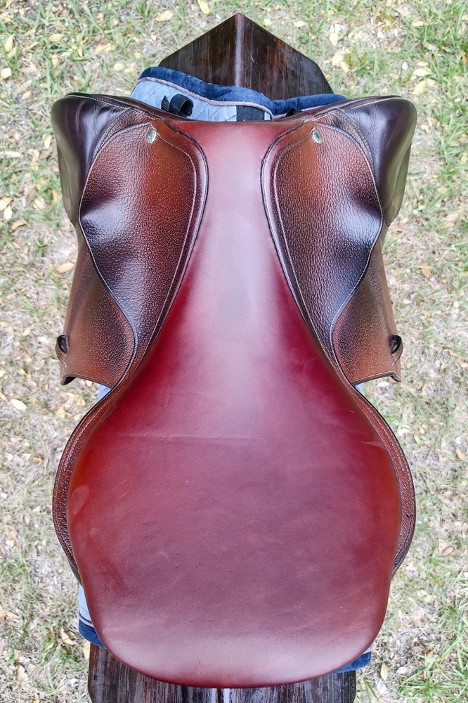 Amerigo Jump/Event - 17.5" / UC324JA