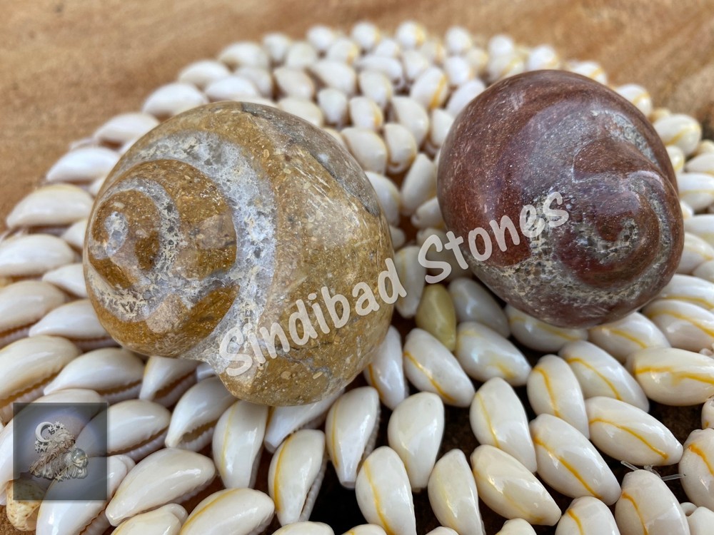 Al Atf Stone, Big Atf - عطف نادر- حجر عطف كبير الحجم رباني - حجر عطف بحري