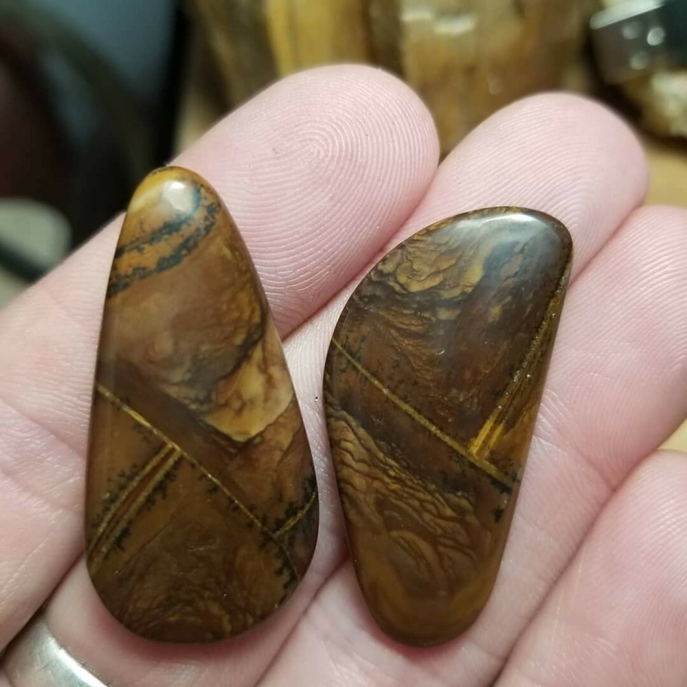 Biggs Picture jasper Cabochon(set)#2