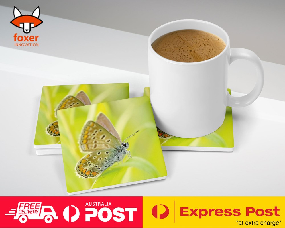 COASTER COFFEE DRINKING MAT|BEAUTIFUL BUTTERFLY MOTH INSECT