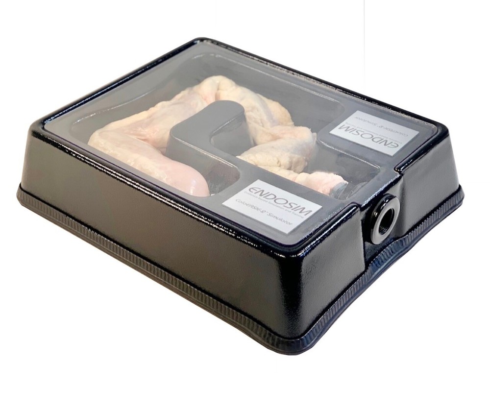 Endosim ColoEASIE-2 Endoscopic Real Tissue Simulator