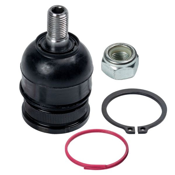 Control Arm Bolt Front Left (Left) - Right