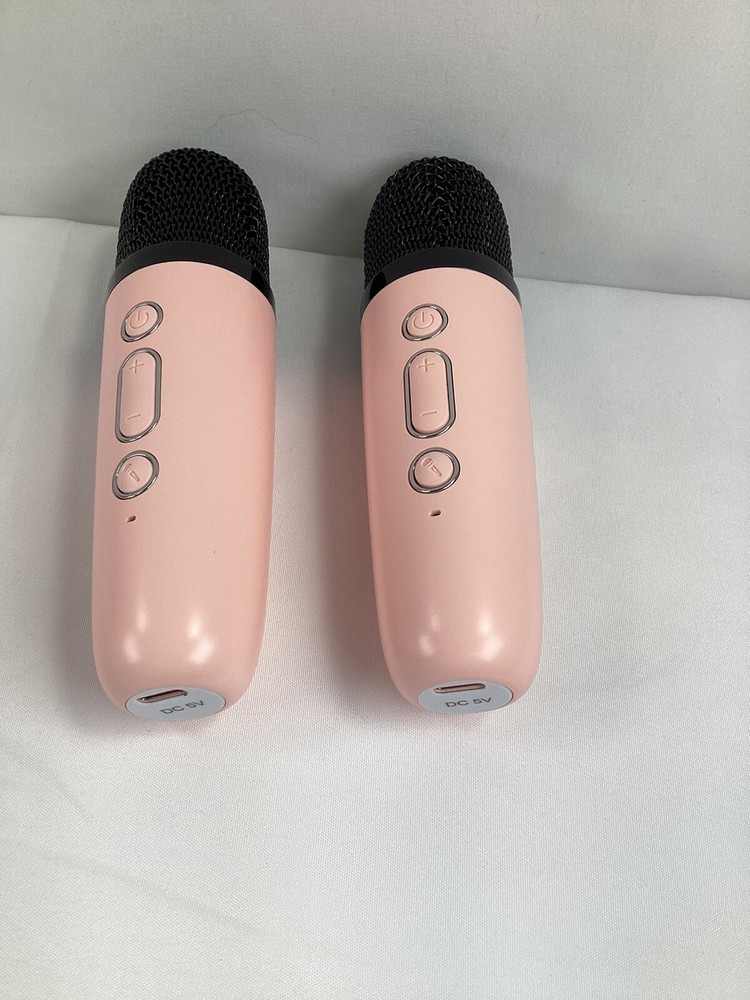 Portable Karaoke Machine with 2 Wireless Microphones Mini Bluetooth Speaker