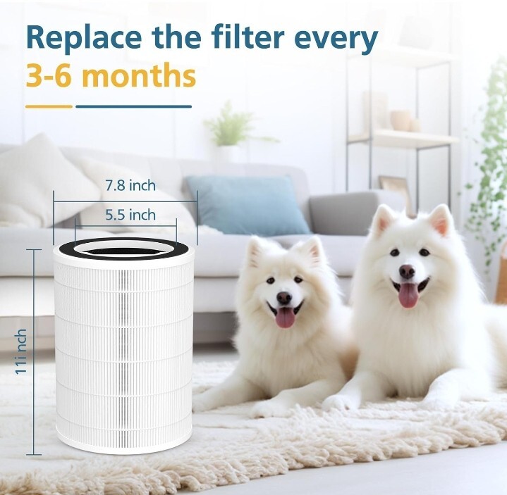 2 pack P2005/P200 Pro replacement air filters