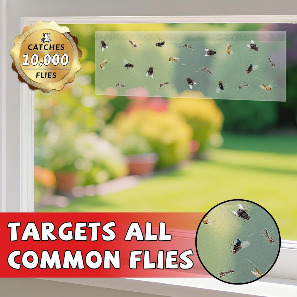 Window Fly Trap 24 Pack for Fruit Fly Mosquitos Gnat Indoor Bug Control