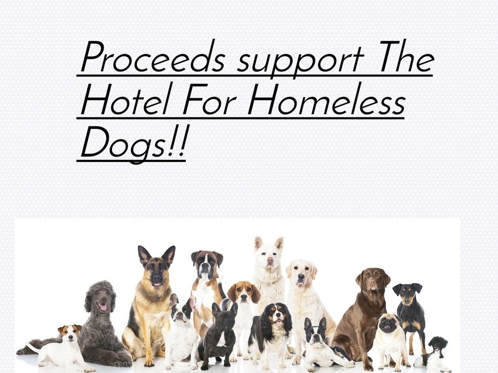 Charity Listing Supporting: The Hotel For Homeless Dogs