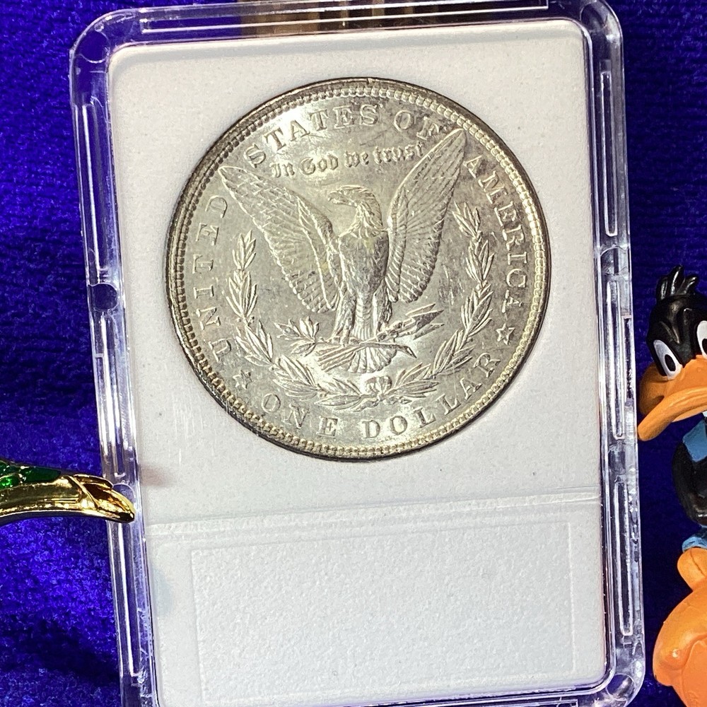 1902 MORGAN SILVER 💰 UNCIRCULATED in BCW SLAB