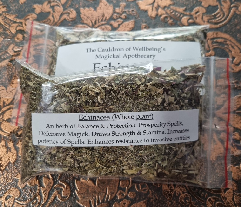 Echinacea