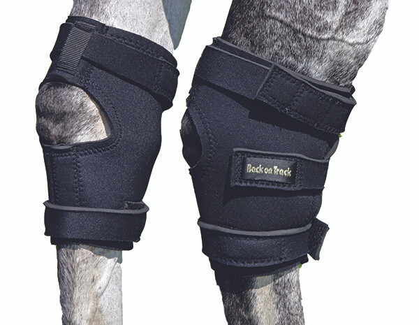 Back On Track Therapeutic Hock Boots