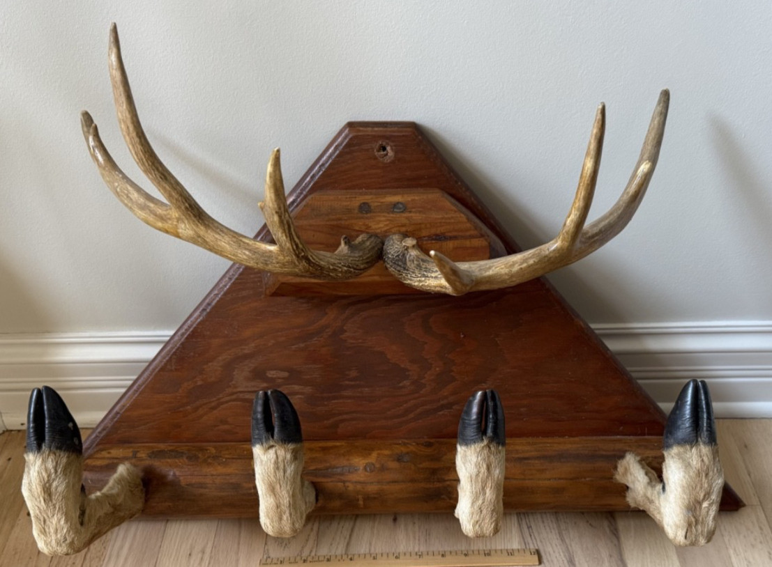 Vintage Taxidermy Deer Antler Hoof Coat Rack Hat Rack Man Cave Bar