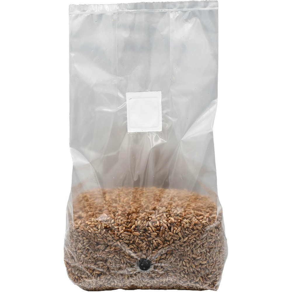 Sterilized Rye Berry Grow Bag (5lb)