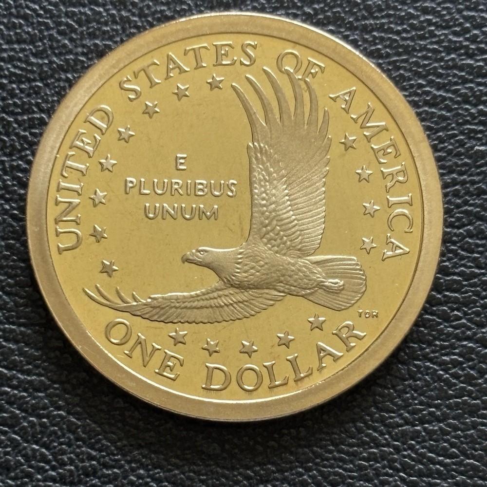 2007 S Proof Sacagawea Dollar