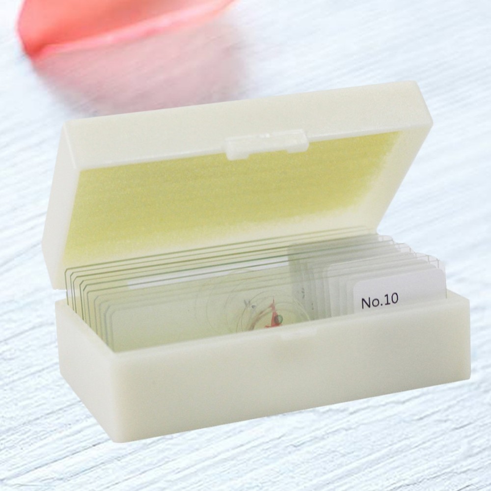 10 PCS/Set Glass Slides Microscope Preparation Kit Calibration Lab