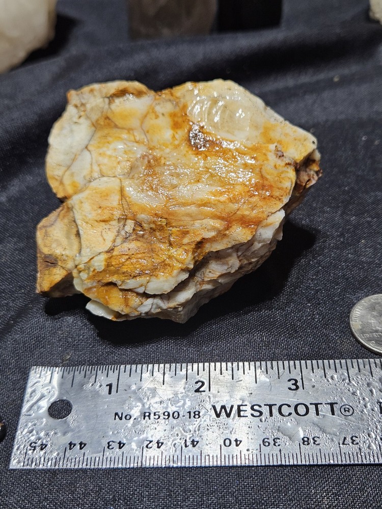 Petrified Wood Fully Opalized Natural Form (9.9oz)