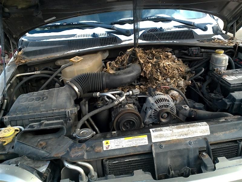 Temperature Control Fits 04-07 LIBERTY 259762