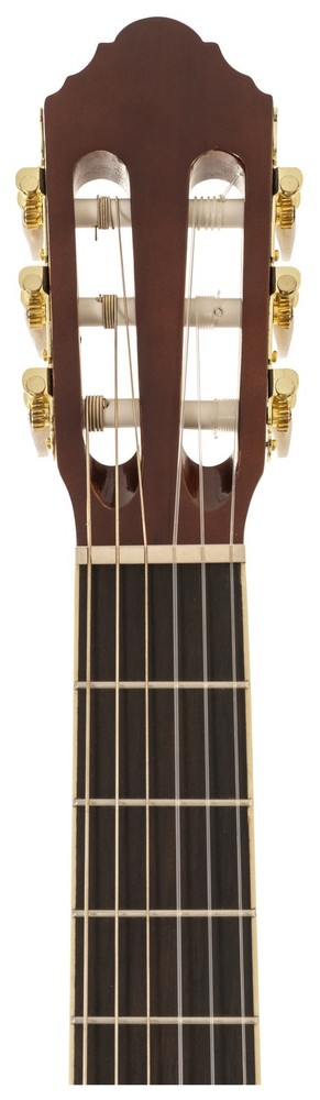 Peavey Delta Woods CNS-2 Classical Nylon String Guitar