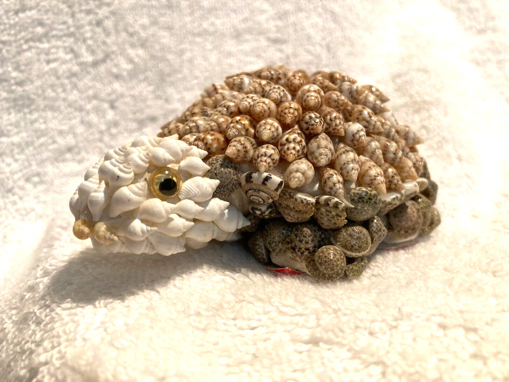 Shells Turtle Figurine 1 1/2" T x 4" x 2 3/4"