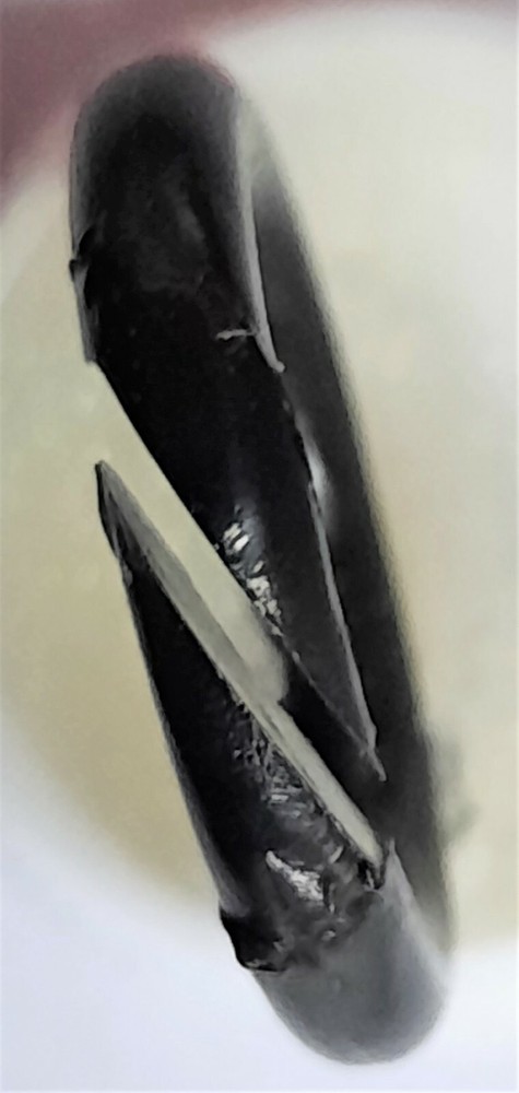 Flip Folder Replacement Ring