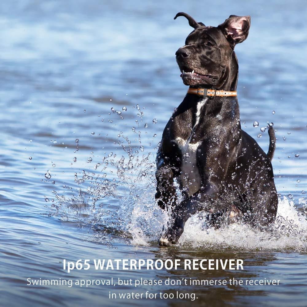 Dog Shock Training Collar Rechargeable Remote Control Waterproof IP67 875 Yards
