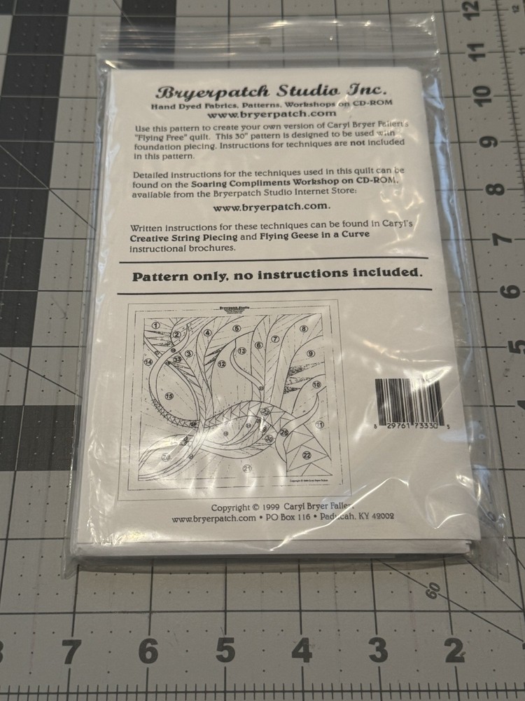 Caryl Bryer Fallert "Flying Free" 30" Wall Quilt Pattern Bryerpatch Studio