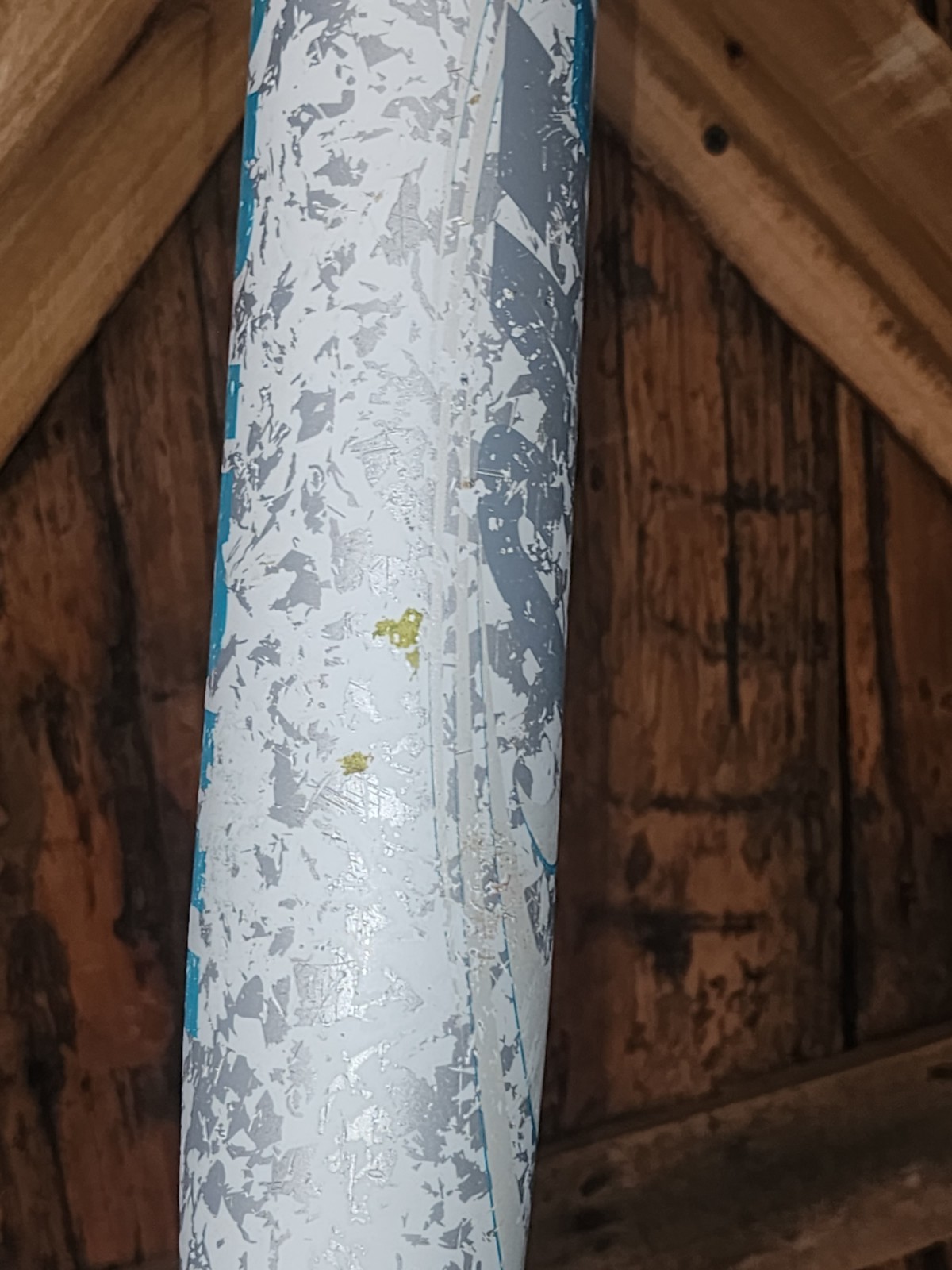 Marucci Fastpitch MFPC710 CATFX Softball Bat -10 31/21 2 1/4" ASA USSSA ISA