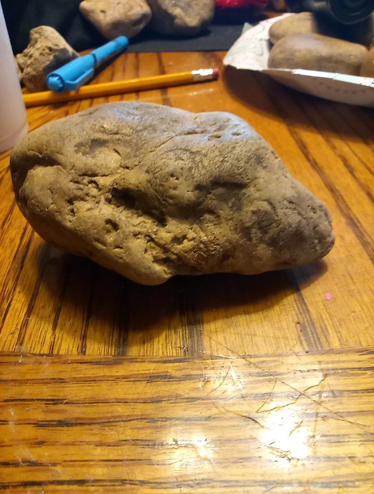Fossils