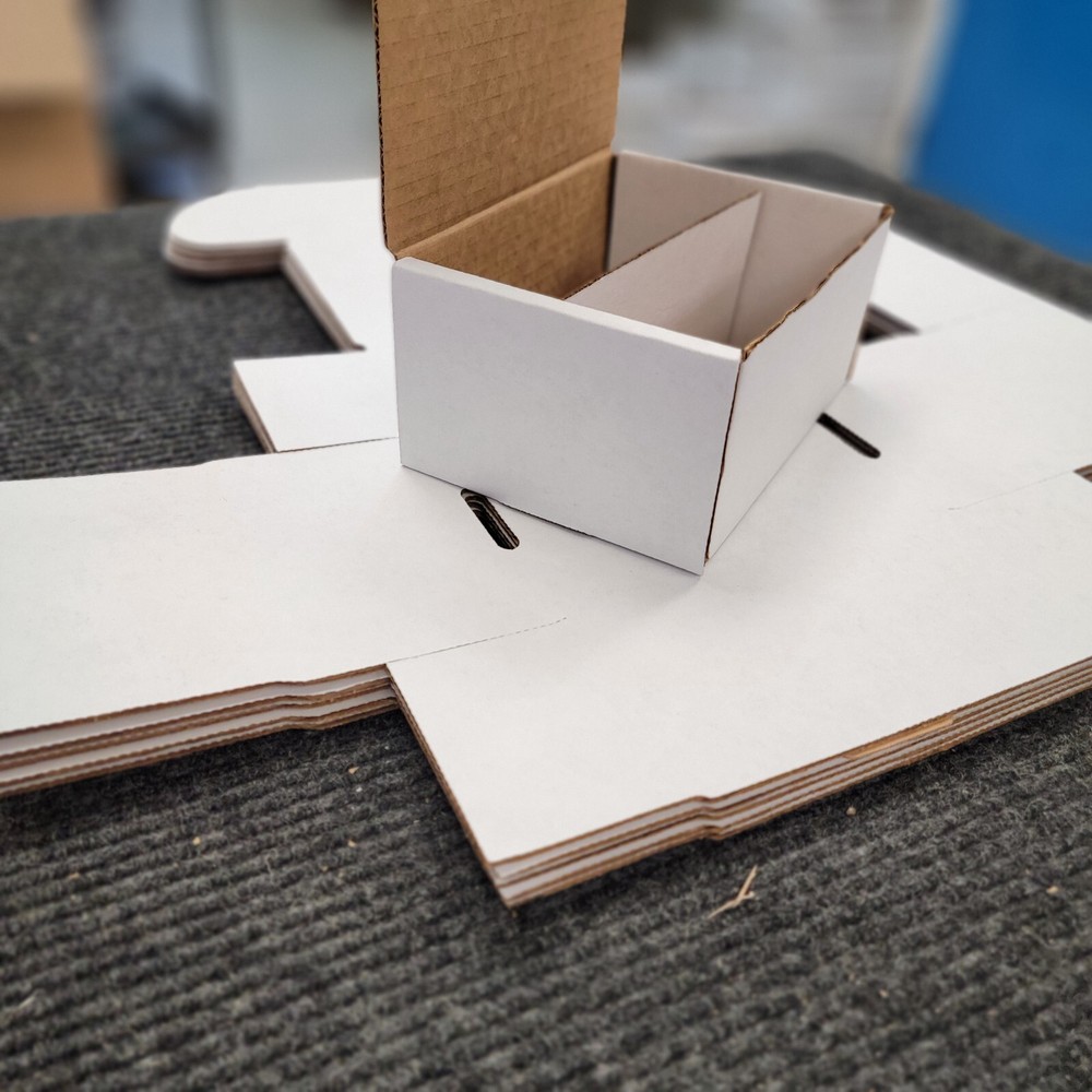 5 Pack | 1000 Count Card Storage Box Magic Pokemon Yugioh | Fetch This Games