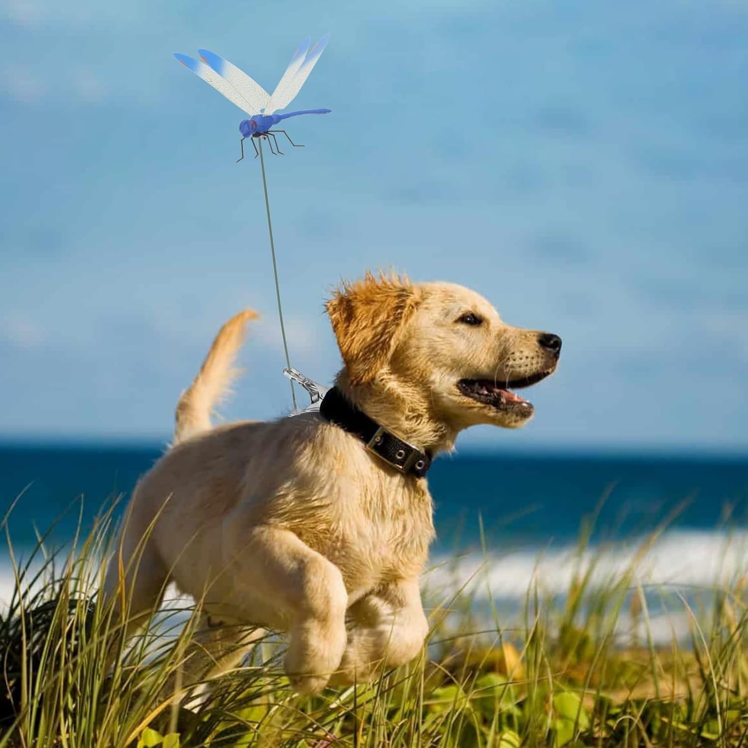 6 Pack Dragonfly Clip,3D Dragonfly Garden Stakes Decor,Fly Deterrent,Dragonfly H