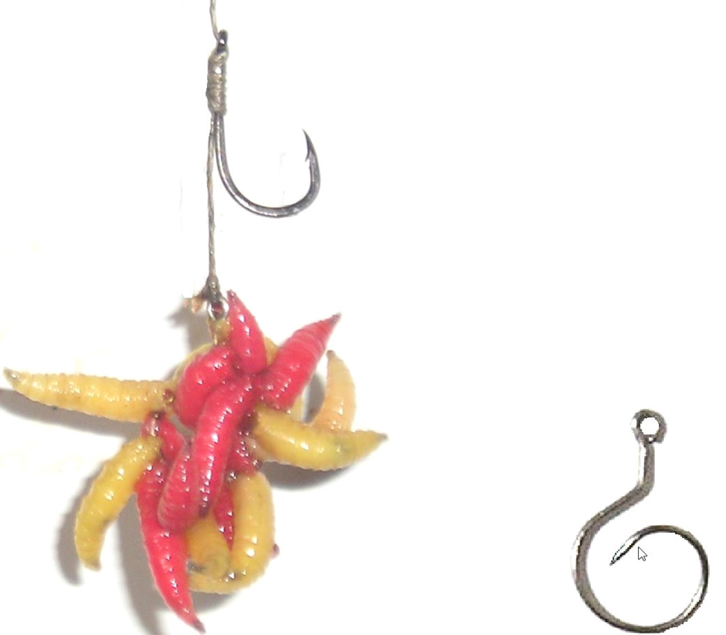 SHORT N CURLIES,SMALL,MAGGOT,RIGGERS,FOR CARP ROD FISHING HAIR RIG HOOK POP UPS