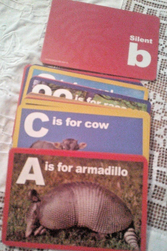 Alphabet Flash Cards Complete Animals Letters Learning Jumbo