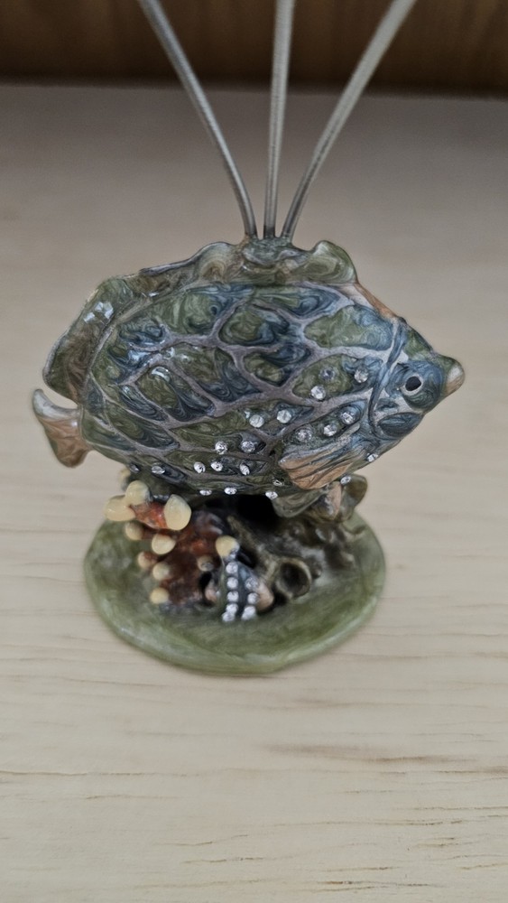 Fish Photo Card Holder 3-Wire Ring
